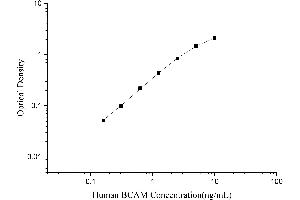 Basal Cell Adhesion Molecule (Lutheran Blood Group) (BCAM) ELISA Kit