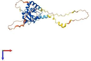 BIRC7 Protein (AA 1-298) (His tag)