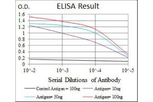 ELISA image for anti-Annexin A1 (ANXA1) (AA 144-248) antibody (ABIN1842825) (Annexin a1 antibody  (AA 144-248))