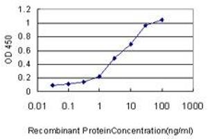 Detection limit for recombinant GST tagged XRCC6 is approximately 0. (XRCC6 antibody  (AA 1-609))