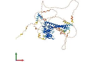 AlphaFold protein structure predicition of Mouse Recombinant Bap1 Protein, UniprotID Q99PU7