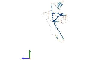 AlphaFold protein structure predicition of Human Recombinant CCDC88B Protein, UniprotID A6NC98