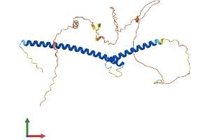 AlphaFold protein structure predicition of Human Recombinant USF1 Protein, UniprotID P22415 (USF1 Protein (AA 1-310) (His tag))