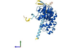 Protein Structure (PS) image for Tyrosylprotein Sulfotransferase 1 (TPST1) (AA 1-370) protein (His tag) (ABIN7562526)