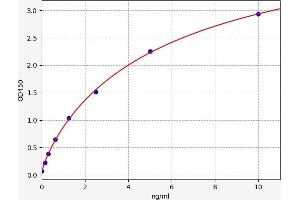 SYNPO ELISA Kit