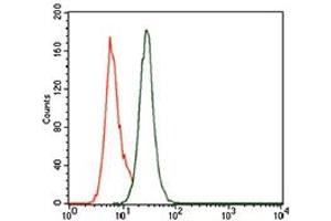 Flow cytometric analysis of MOLT4 cells using PCNA mouse mAb (green) and negative control (purple).