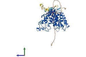 Protein Structure (PS) image for Histone Deacetylase 2 (HDAC2) (AA 1-488) protein (His tag) (ABIN7554090)