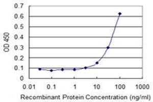 Detection limit for recombinant GST tagged FOXC2 is 3 ng/ml as a capture antibody. (FOXC2 antibody  (AA 156-256))