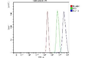 Flow Cytometry analysis of C6 cells using anti-KLF13 antibody (ABIN7602036). (KLF13 antibody  (AA 56-260))