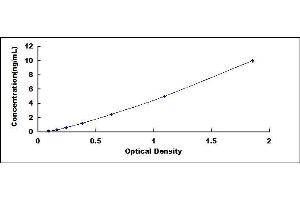 Typical standard curve (ATF3 ELISA Kit)