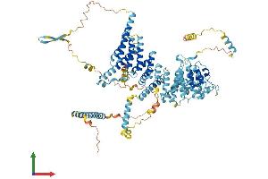 AlphaFold protein structure predicition of Mouse Recombinant Noc3l Protein, UniprotID Q8VI84 (NOC3L Protein (AA 1-807) (His tag))