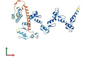 AlphaFold protein structure predicition of Human Recombinant ZNF485 Protein, UniprotID Q8NCK3