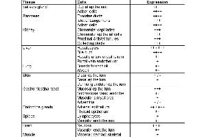 Table 1. (CD46 antibody)