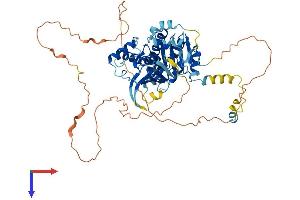 AlphaFold protein structure predicition of Human Recombinant DONSON Protein, UniprotID Q9NYP3 (DONSON Protein (AA 1-566) (His tag))