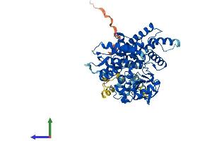 AlphaFold protein structure predicition of Human Recombinant CYP2U1 Protein, UniprotID Q7Z449