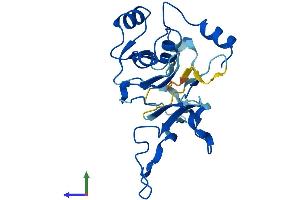 AlphaFold protein structure predicition of Human Recombinant GGTLC2 Protein, UniprotID Q14390 (GGTLC2 Protein (AA 1-218) (His tag))