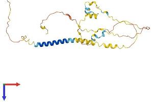 AlphaFold protein structure predicition of Mouse Recombinant Bean1 Protein, UniprotID Q9EQG5 (BEAN1 Protein (AA 1-255) (His tag))
