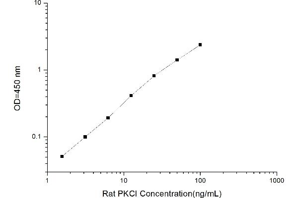 PKC iota ELISA Kit