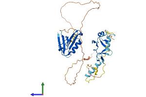 AlphaFold protein structure predicition of Human Recombinant PDLIM2 Protein, UniprotID Q96JY6