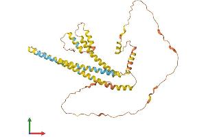 AlphaFold protein structure predicition of Human Recombinant NPIPA2 Protein, UniprotID E9PIF3 (NPIPA2 Protein (AA 1-369) (His tag))