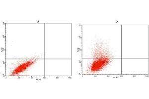 Flow cytometric analysis of non-transfected CHO cells (a) and Avi fusion protein transfeced CHO cells (b) using Avi Antibody (ABIN1574261). (Avi-Tag antibody)