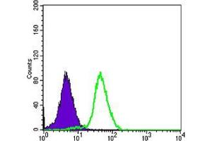 Flow cytometric analysis of PC-3 cells using CD276 mouse mAb (green) and negative control (purple). (CD276 antibody)