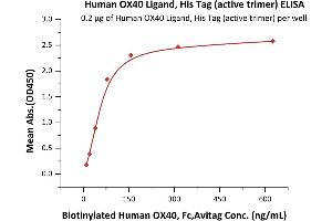 TNFSF4 Protein (AA 51-183) (His tag)