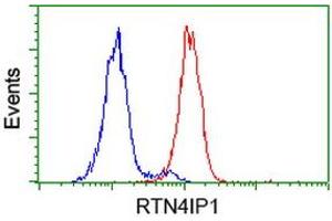 Flow cytometric Analysis of Hela cells, using anti-RTN4IP1 antibody (ABIN2454379), (Red), compared to a nonspecific negative control antibody, (Blue). (RTN4IP1 antibody)