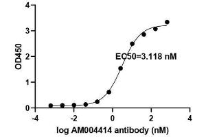 SARS-CoV-2 Spike Antibody (clone AM004414) tested by ELISA. (Recombinant SARS-CoV-2 Spike antibody)