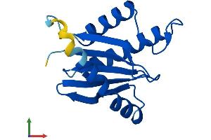 Protein Structure (PS) image for Trafficking Protein Particle Complex 2 Pseudogene 1 (TRAPPC2P1) (AA 1-140) protein (His tag) (ABIN7544616)