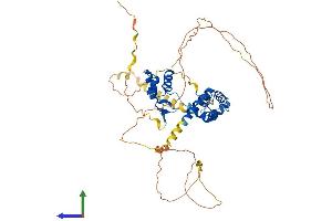 Protein Structure (PS) image for Paired Box 3 (PAX3) (AA 1-479) protein (His tag) (ABIN7550646)