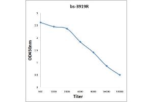 STARD5 antibody  (AA 51-150)