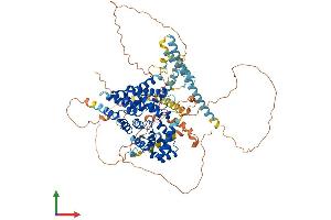 AlphaFold protein structure predicition of Mouse Recombinant Tbc1d5 Protein, UniprotID Q80XQ2 (TBC1D5 Protein (AA 1-815) (His tag))