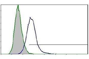 Flow cytometric detection of mouse TNF-RII (5µg/ml) on 500,000 BV2 microglial cells (clone HM102, HM1011). (TNFRSF1B antibody)