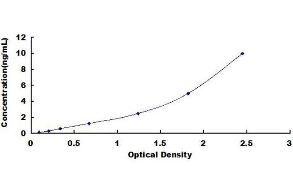 FKBP4 ELISA Kit