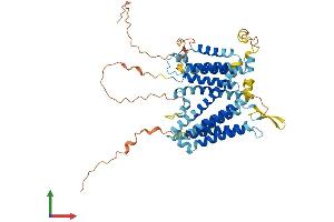 AlphaFold protein structure predicition of Human Recombinant SERINC4 Protein, UniprotID A6NH21