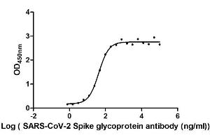 Activity: Measured by its binding ability in a functional ELISA. (SARS-CoV-2 Spike S1 Protein (His tag,DYKDDDDK Tag))