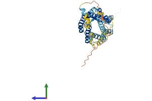 Protein Structure (PS) image for Chemokine (C-C Motif) Receptor 10 (CCR10) (AA 1-362) protein (His tag) (ABIN7552986)