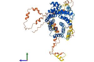AlphaFold protein structure predicition of Mouse Recombinant Pex5 Protein, UniprotID O09012 (PEX5 Protein (AA 1-639) (His tag))