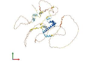 Protein Structure (PS) image for Centromere Protein T (CENPT) (AA 1-561) protein (His tag) (ABIN7553171)