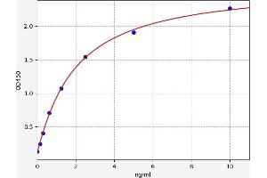 Typical standard curve (MYB ELISA Kit)