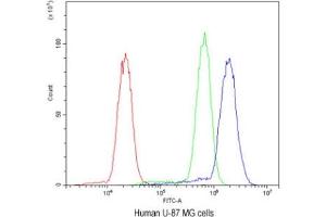 Flow cytometry testing of human U-87 MG cells with SSH3BP1 antibody at 1ug/10^6 cells (blocked with goat sera) (ABI1 antibody)