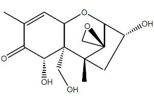 Antigen structure: Deoxynivalenol (DON) (Deoxynivalenol antibody)