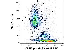 Flow cytometry surface staining pattern of human peripheral whole blood stained using anti-human CD52 (4C8) purified antibody (concentration in sample 0,6 μg/mL, GAM APC). (CD52 antibody)