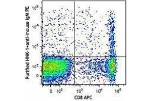 Flow Cytometry (FACS) image for anti-beta-1,3-Glucuronyltransferase 1 (Glucuronosyltransferase P) (B3GAT1) antibody (ABIN2664777) (CD57 antibody)