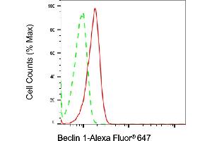 Flow cytometric analysis of Beclin 1 expression in HeLa cells using Beclin 1 antibody (ABIN7797761), 1:2,000). (Recombinant Beclin 1 antibody)