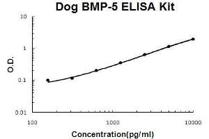 Dog BMP-5 PicoKine ELISA Kit standard curve (BMP5 ELISA Kit)