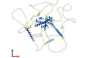 Protein Structure (PS) image for Prospero Homeobox 1 (PROX1) (AA 1-737) protein (His tag) (ABIN7555053)