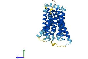 AlphaFold protein structure predicition of Human Recombinant SLC35A3 Protein, UniprotID Q9Y2D2