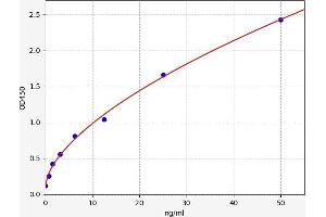 GSTM2 ELISA Kit